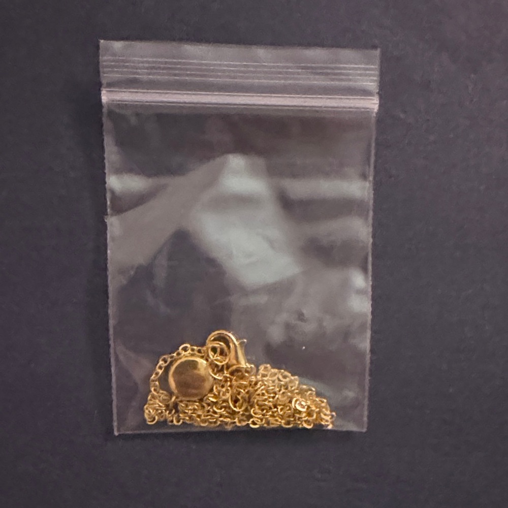 Gold Chain Necklace